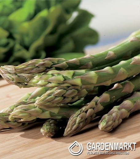 Asparagus Boonlim - Szparag 1 szt.